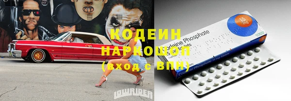 стаф Аркадак