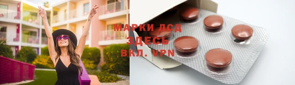 стаф Аркадак