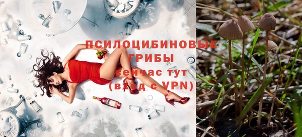 прущая мука Нязепетровск
