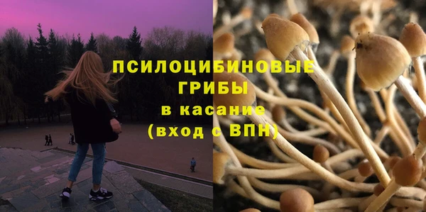стаф Аркадак