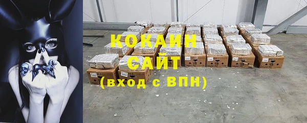стаф Аркадак