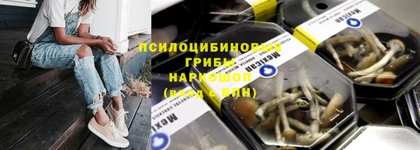 винт Арсеньев