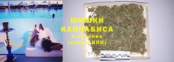 стаф Аркадак