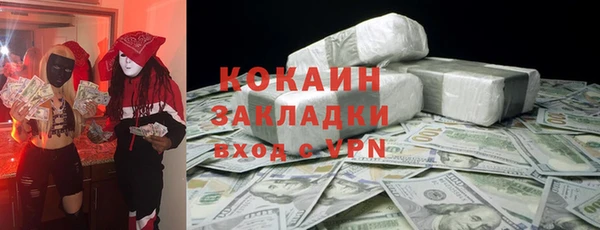 шишки Осташков