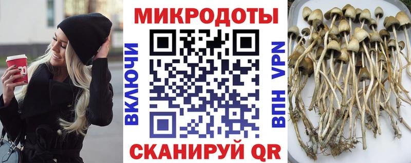 Галлюциногенные грибы ЛСД  наркошоп  Изобильный 