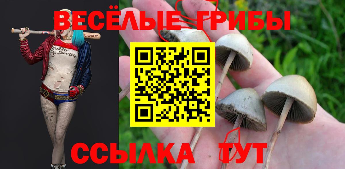 Изобильный  Галлюциногенные грибы GOLDEN TEACHER  Вход с VPN 